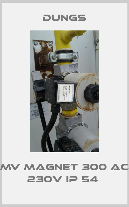 MV Magnet 300 AC 230V IP 54 -big