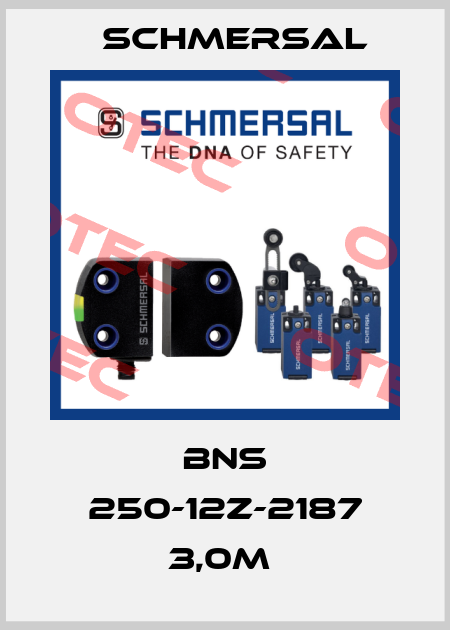 BNS 250-12Z-2187 3,0M  Schmersal