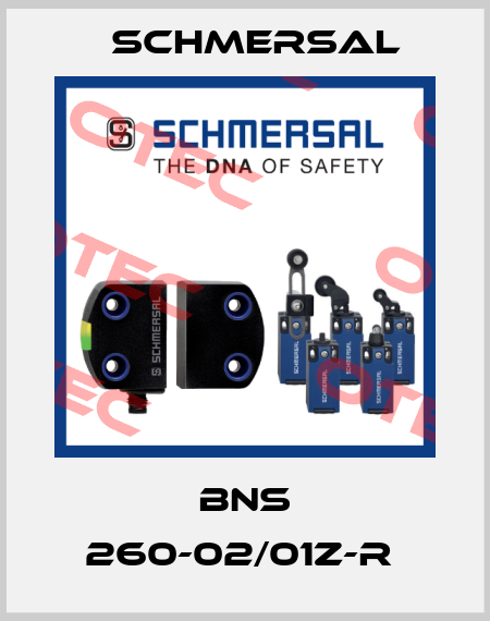 BNS 260-02/01Z-R  Schmersal