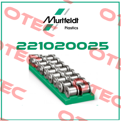 221020025 Murtfeldt