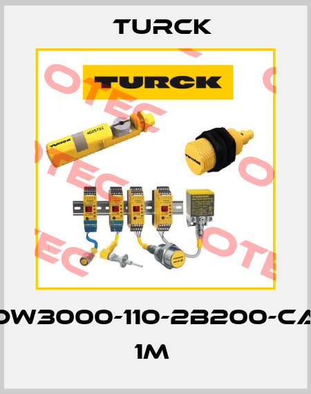 DW3000-110-2B200-CA 1M  Turck