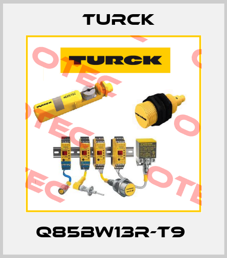 Q85BW13R-T9  Turck