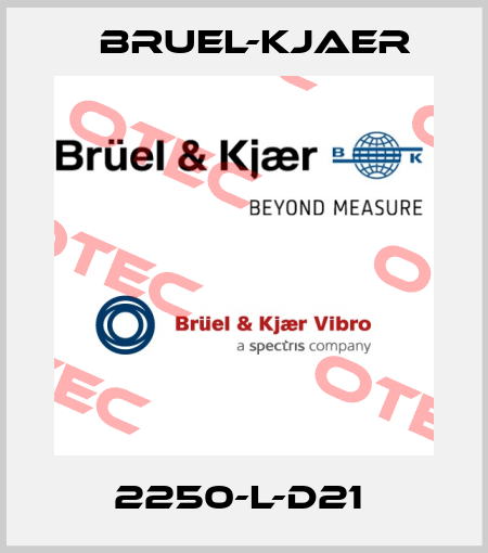 2250-L-D21  Bruel-Kjaer