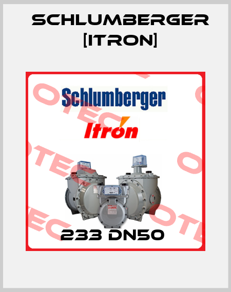 233 DN50  Schlumberger [Itron]