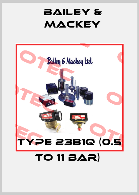 Type 2381Q (0.5 to 11 bar)  Bailey & Mackey