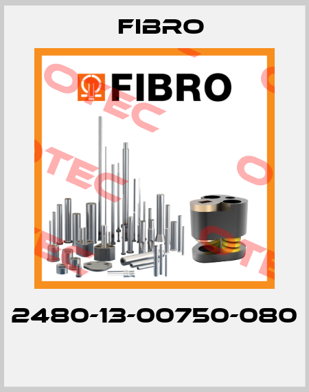 2480-13-00750-080  Fibro