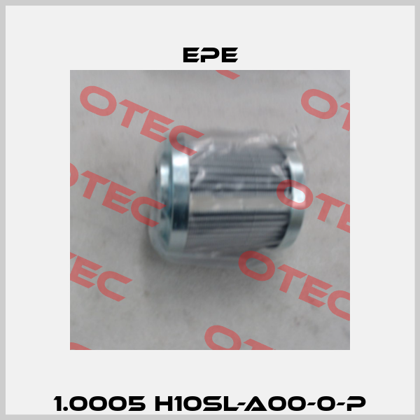 1.0005 H10SL-A00-0-P Epe