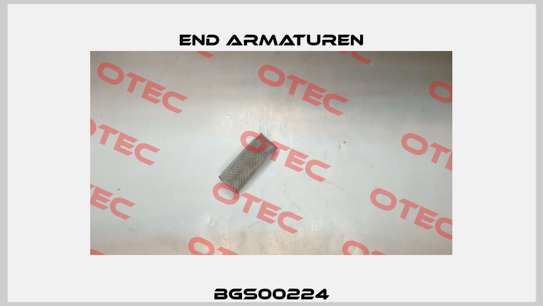 BGS00224 End Armaturen