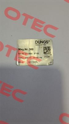 271964 Dungs