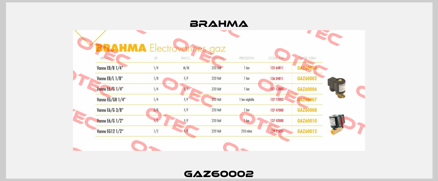 GAZ60002 Brahma