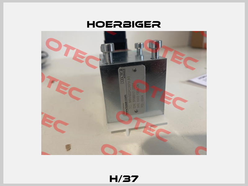 H/37 Hoerbiger