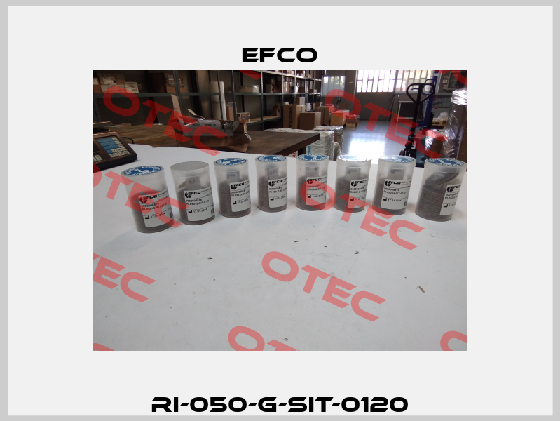 RI-050-G-SIT-0120 Efco