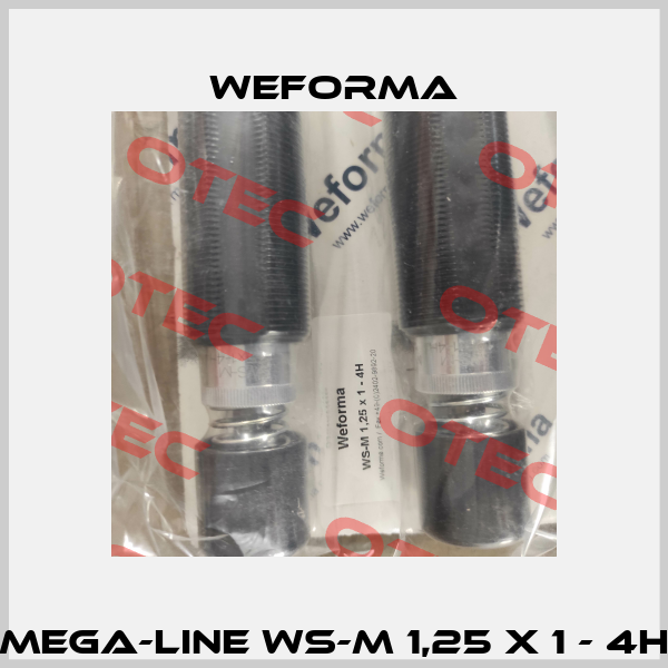 Mega-Line WS-M 1,25 x 1 - 4H Weforma