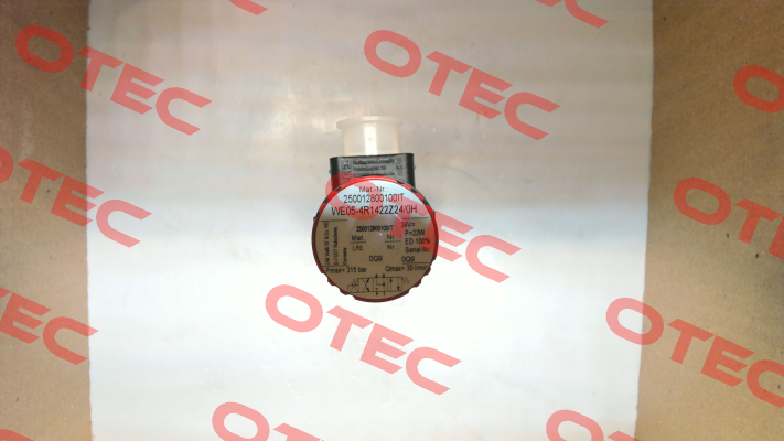 WE05-4R1422Z24/0H Voith
