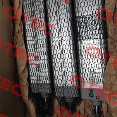 1387.80.300.01 Pneumax