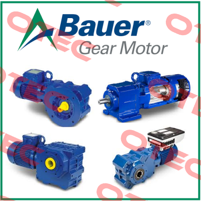BF50-04/D11LA4-S/ESX070A8HN  Bauer