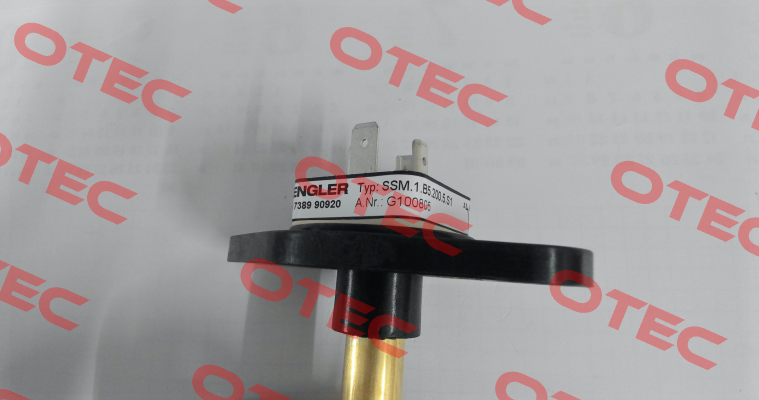 G100805 Engler