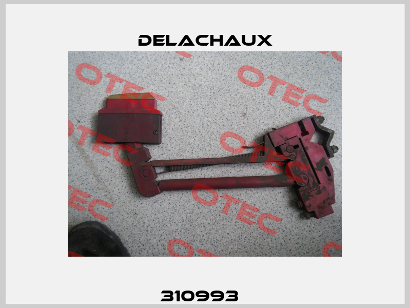 310993   Delachaux