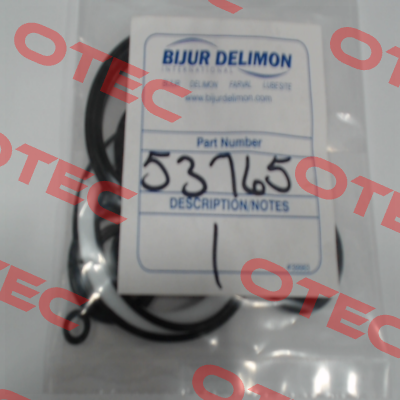 53765 Bijur Delimon