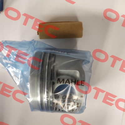 029 82 00 MAHLE