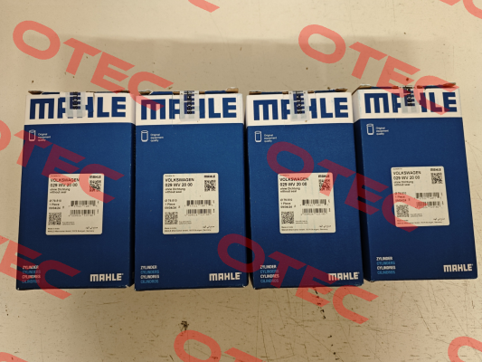 029 WV 20 00 MAHLE