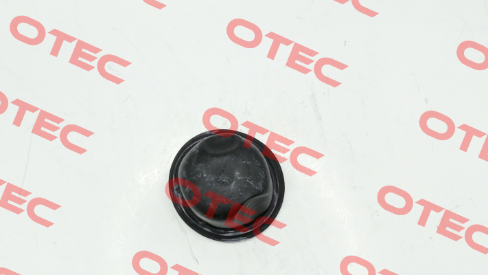 A04246874 MAHLE