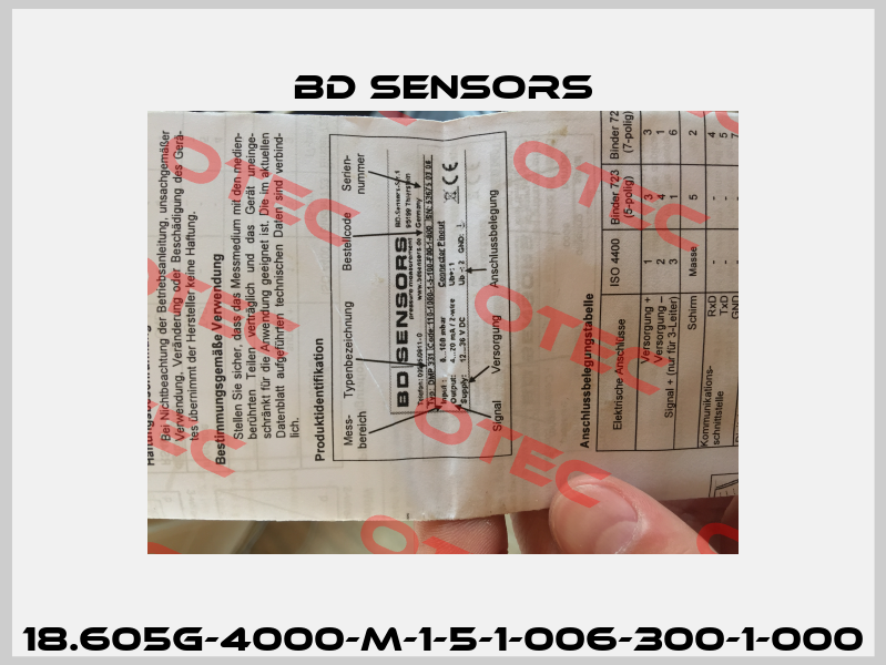 18.605G-4000-M-1-5-1-006-300-1-000 Bd Sensors