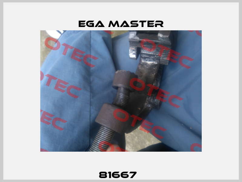 81667   EGA Master