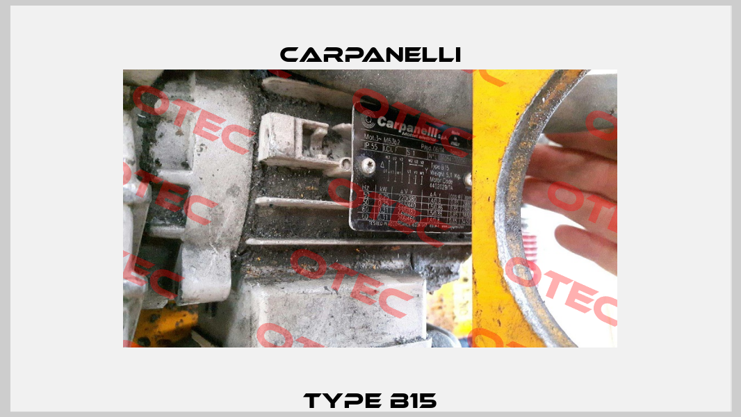 type B15 Carpanelli