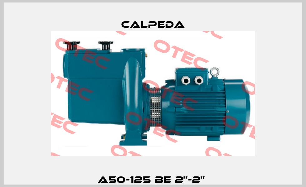 A50-125 BE 2”-2”  Calpeda