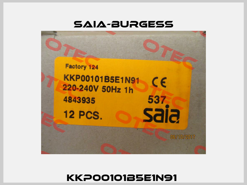 KKP00101B5E1N91  Saia-Burgess