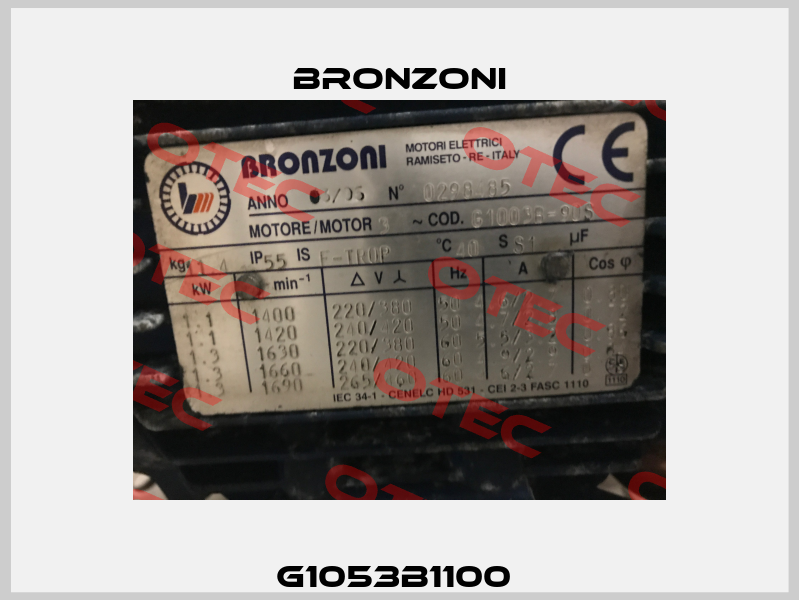 G1053B1100  Bronzoni