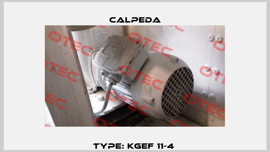 type: KGEF 11-4  Calpeda