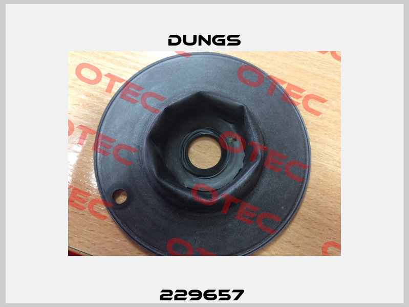 229657  Dungs