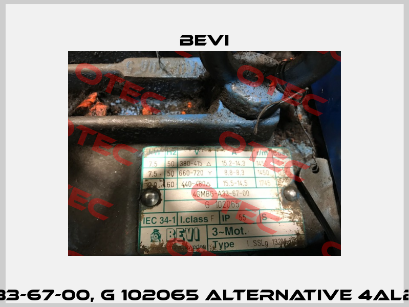 4GMBG-A33-67-00, G 102065 alternative 4AL2n 132M-4  Bevi