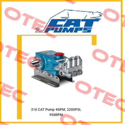 310  Cat Pumps