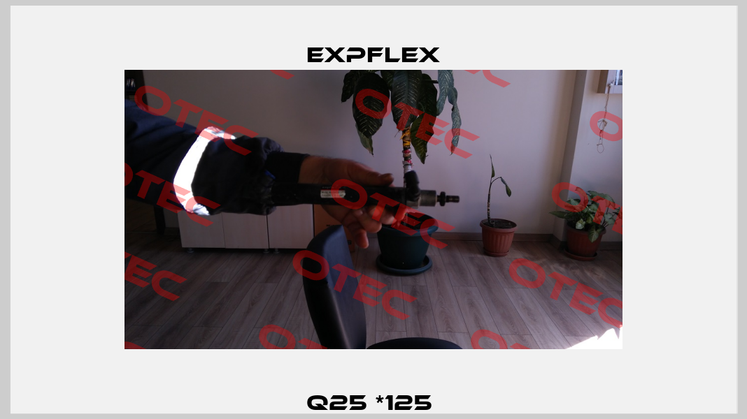 Q25 *125  EXPFLEX