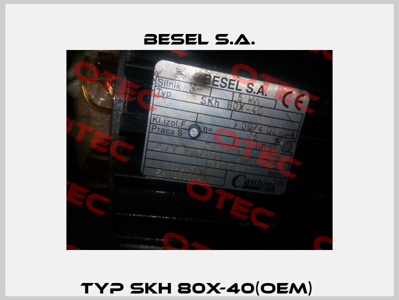 Typ SKh 80X-40(OEM)  BESEL S.A.