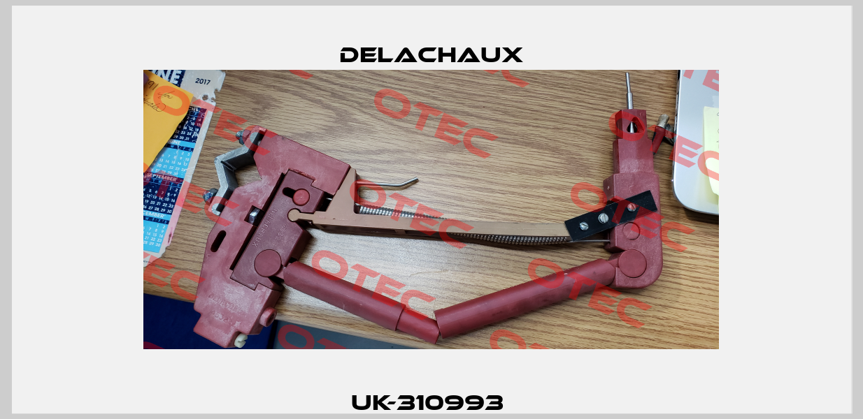 UK-310993  Delachaux