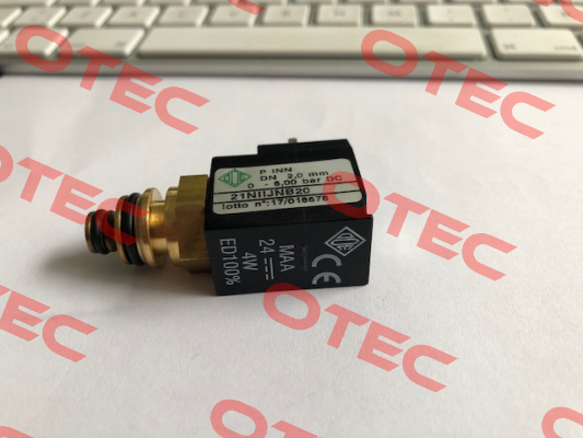 21NIIJNB20-MAA04024CS Ode