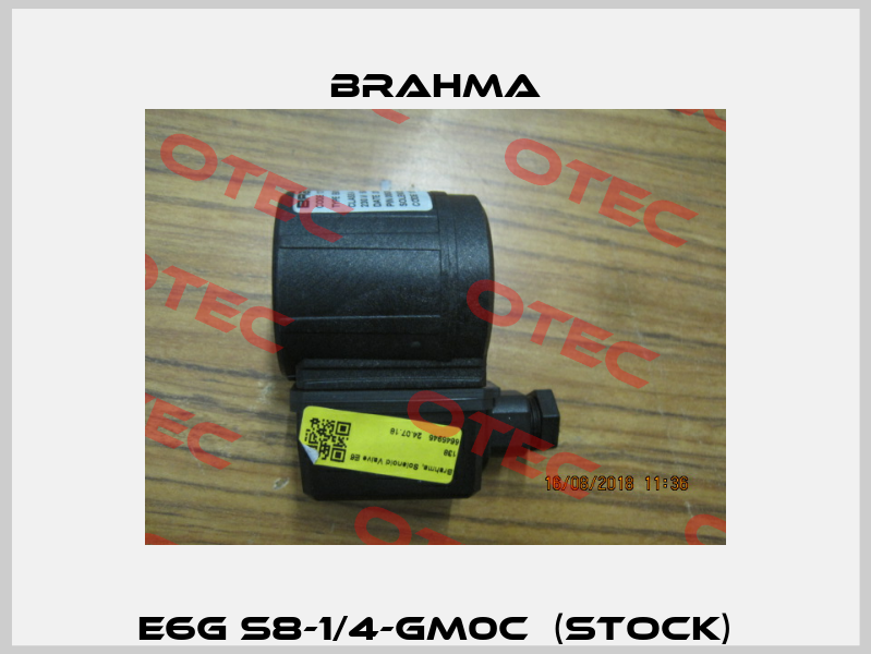 E6G S8-1/4-GM0C  (Stock) Brahma