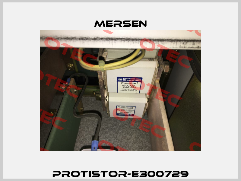 Protistor-E300729 Mersen