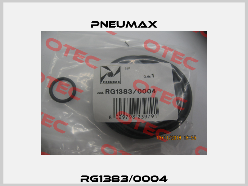 RG1383/0004 Pneumax