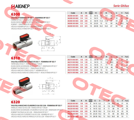 6320-1/4-1/4 Aignep