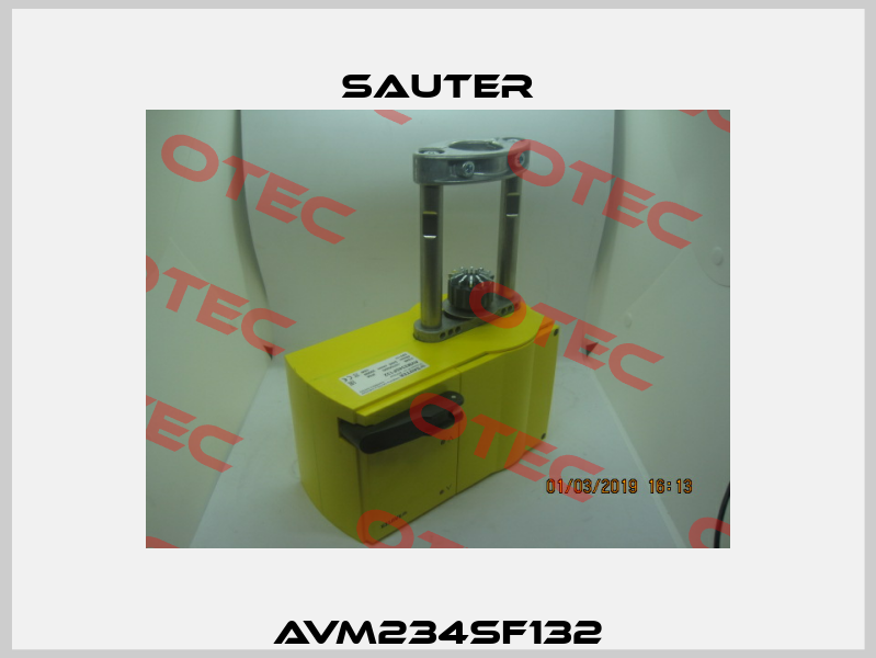 AVM234SF132 Sauter