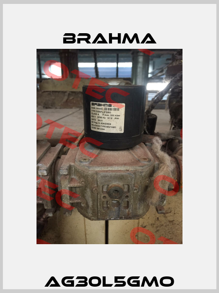 AG30L5GMO Brahma