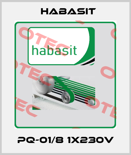 PQ-01/8 1X230V Habasit