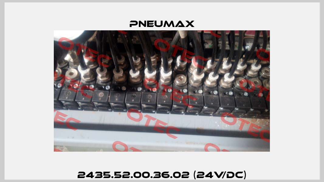 2435.52.00.36.02 (24V/DC) Pneumax