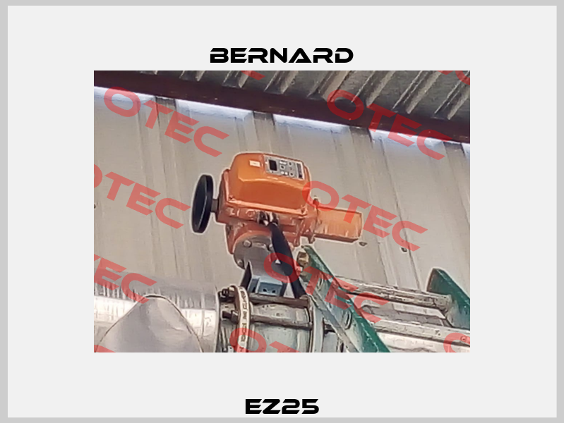EZ25 Bernard