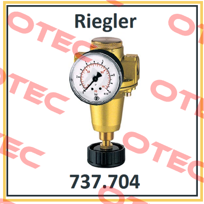 P/N: 100893 Type: 737.704 Riegler